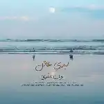 دانلود آهنگ لیلای عاقل از پویان مخبری